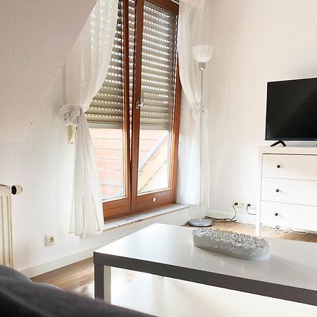 Schoenes 1 Zimmer Apartment Mit Dachterrasse Glauchau Exteriér fotografie