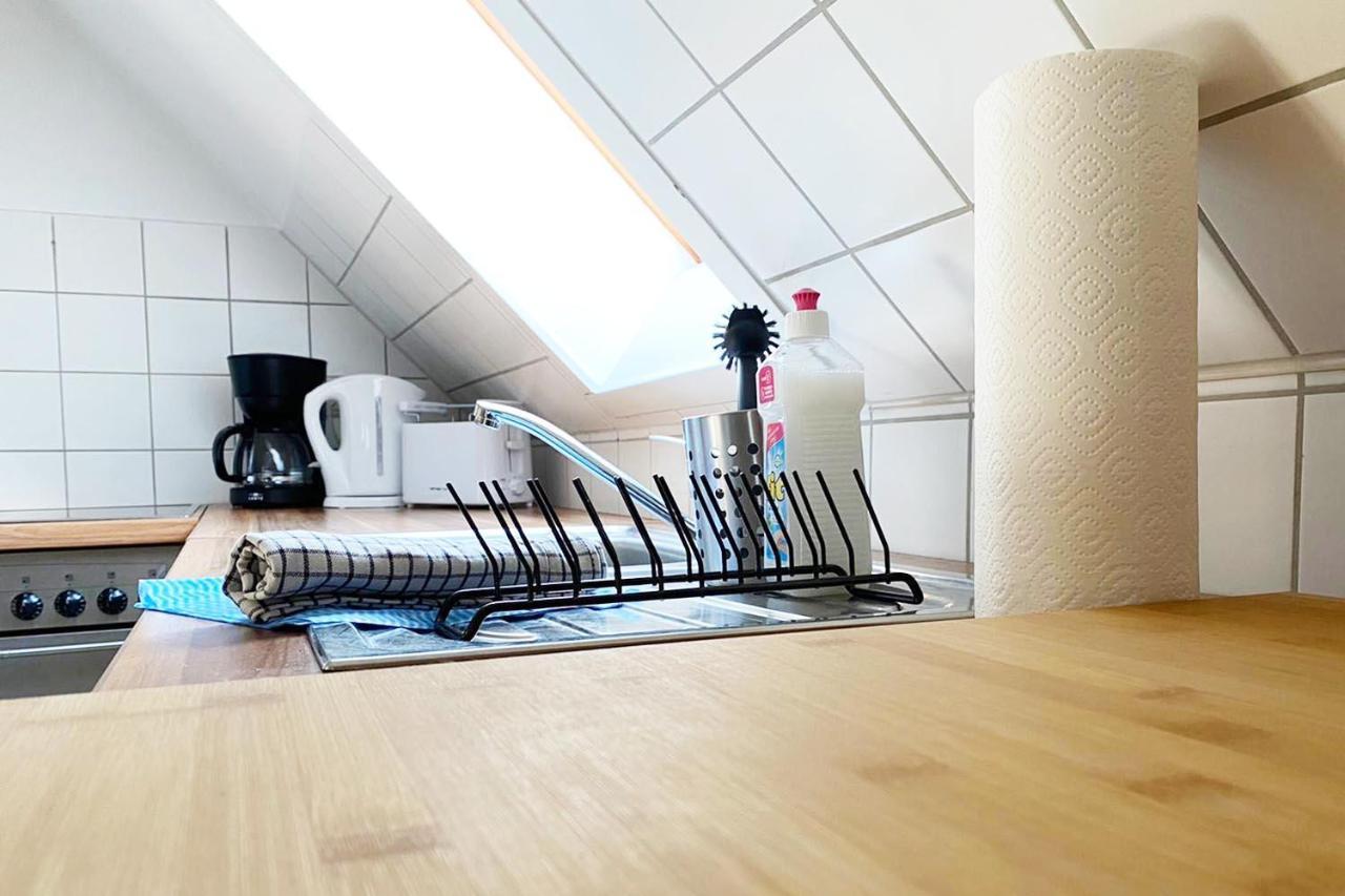 Schoenes 1 Zimmer Apartment Mit Dachterrasse Glauchau Exteriér fotografie